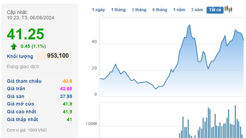Công ty chứng khoán vừa báo lãi quý 2 tăng bằng lần chuẩn bị tạm ứng gần 200 tỷ đồng cổ tức