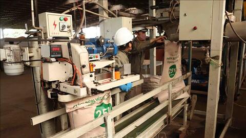 Thị trường phân bón trong nước: Giá giảm do nhu cầu tiêu thụ không cao