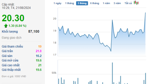 Một doanh nghiệp bất động sản chuẩn bị trả cổ tức tiền mặt tỷ lệ cao, cổ phiếu lập tức tăng vọt