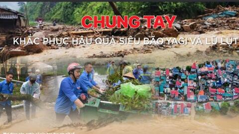 Bình Thuận kêu gọi ủng hộ các tỉnh miền Bắc khắc phục hậu quả thiên tai