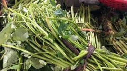 Khi nào thì giá rau xanh "hạ nhiệt"?