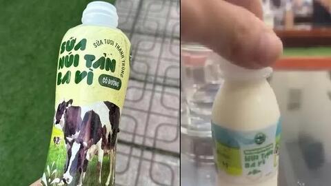 Các trường tạm dừng sử dụng sữa Núi Tản Ba Vì để chờ cơ quan chức năng kết luận
