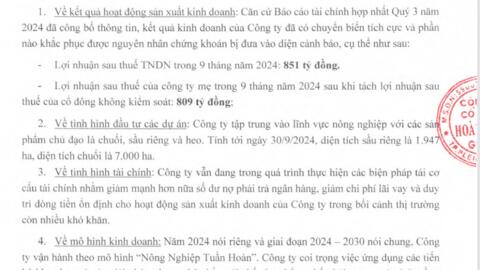 Hoàng Anh Gia Lai khắc phục cổ phiếu thuộc diện cảnh báo ra sao?