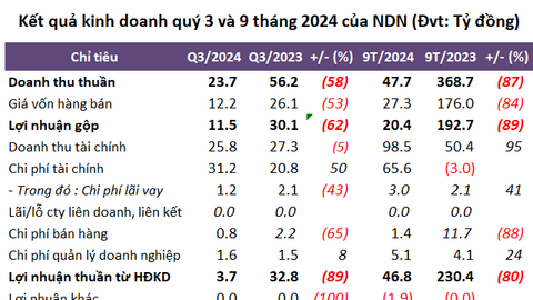 Lợi nhuận 9 tháng NDN rơi gần 80% dù lãi đầu tư chứng khoán gần 100 tỷ 