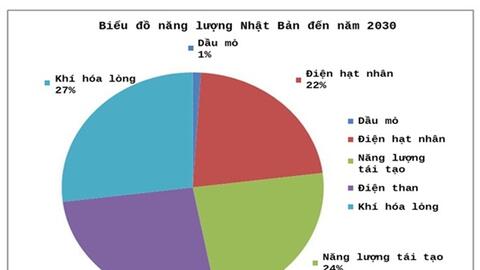 Sản lượng điện của Nhật Bản giảm xuống mức thấp nhất trong hơn một thập kỷ