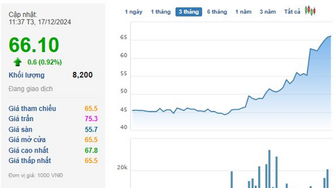 Cổ phiếu tăng 65% lên đỉnh lịch sử, chủ đầu tư khu công nghiệp 2.000 tỷ đồng tại Vũng Tàu chốt quyền trả cổ tức bằng tiền tỷ lệ 20%