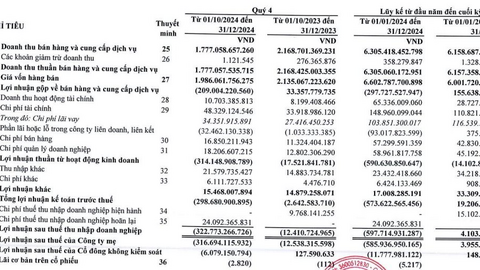 Lộ diện doanh nghiệp thua lỗ nặng nhất ngành thép năm 2024, ôm loạt cổ phiếu VND, DGC