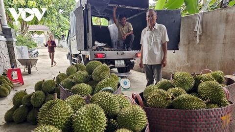 Việt Nam gia tăng lợi thế xuất khẩu trái cây, rau quả sang thị trường Trung Quốc