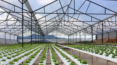 Tăng cường ứng dụng công nghệ số phục vụ phát triển nông nghiệp