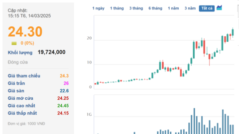 Nắm giữ hàng trăm triệu cổ phiếu ngân hàng: Loạt doanh nghiệp lãi 5-10 lần vốn đầu tư, vài trường hợp đang lãi cả tỷ đô