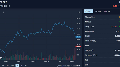 Cổ đông FPT lo ngại ảnh hưởng DeepSeek, vậy DeepSeek nói gì?