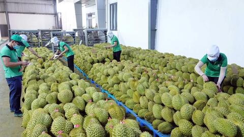 Việt Nam thuộc TOP 30 nước tăng trưởng thương mại cao nhất