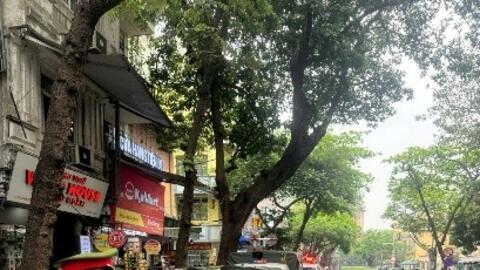 Xử lý nghiêm tình trạng lấn chiếm lòng đường, trông giữ xe trái phép