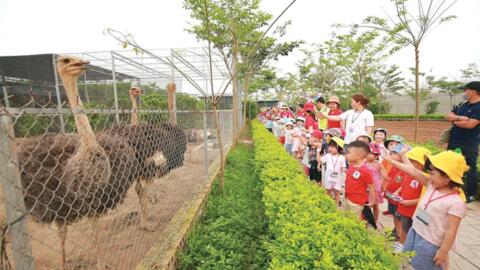 Hà Nội phát triển kinh tế làng nghề từ du lịch và sản phẩm OCOP