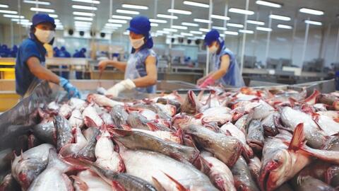 Hoa Kỳ kết luận thuế chống bán phá giá cá tra - basa phi lê đông lạnh Việt Nam