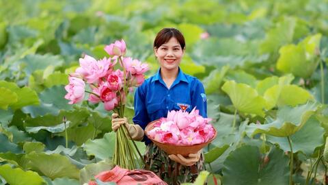 Mô hình trồng sen mang lại cuộc sống khấm khá cho người dân Hà Tĩnh