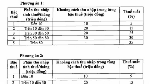 Đánh thuế thu nhập cá nhân lên đến 35% với phần vượt 100 triệu đồng là quá cao