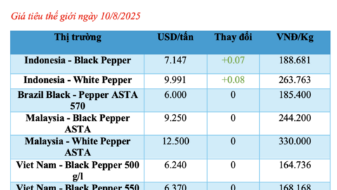 Giá tiêu hôm nay 10/8/2025:  Trong nước cao nhất 142.000 đồng/kg
