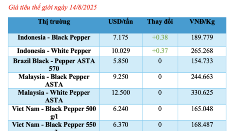 Giá tiêu hôm nay 14/8/2025: Trong nước ổn định ở mức 140.800 đồng/kg