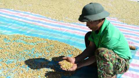 Giá cà phê hôm nay 21/8/2025: Trong nước tăng mạnh, vượt mốc 121.000 đồng/kg