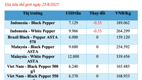 Giá tiêu hôm nay 25/8/2025: Một số địa phương tăng nhẹ