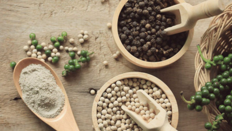 Giá tiêu ngày 26/8: Hạt tiêu nội địa cao nhất 148.000 đồng/kg