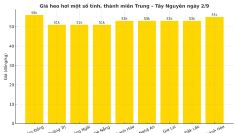 Giá heo hơi hôm nay ngày 2/9/2025: Tiếp tục đi ngang ở cả 3 miền