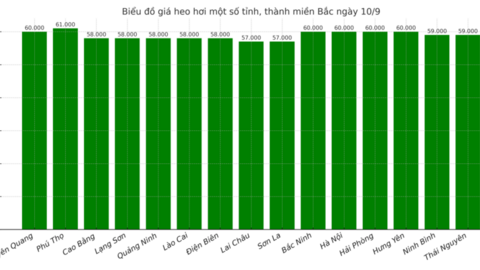 Giá heo hơi hôm nay 10/9/2025: Miền Bắc tăng đồng loạt