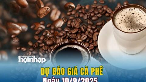 Giá cà phê hôm nay 10/9/2025: Trong nước tăng mạnh