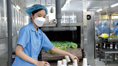 Doanh nghiệp và bài toán tỷ giá