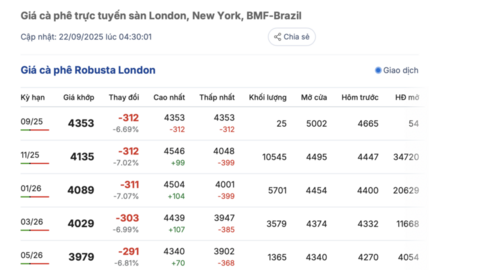 Giá cà phê hôm nay 22/9/2025: Trong nước trên đà giảm sâu
