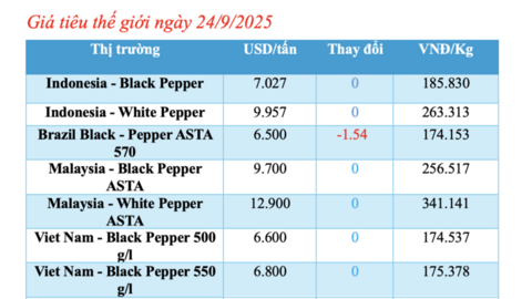 Giá tiêu hôm nay 24/9/2025: Trong nước biến động