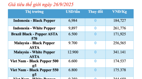 Giá tiêu hôm nay 26/9/2025: Trung bình 149.000 đồng/kg