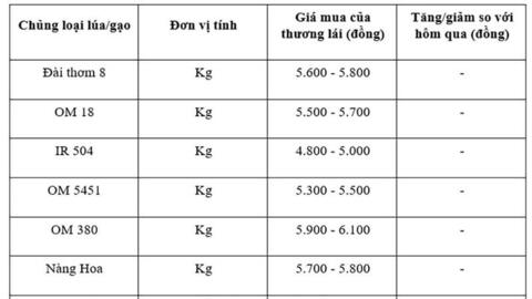 Giá lúa gạo hôm nay ngày 24/10: Gạo bình ổn, Lúa tươi vững giá