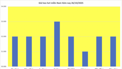 Giá heo hơi hôm nay 26/10/2025: Trầm lắng phiên cuối tuần