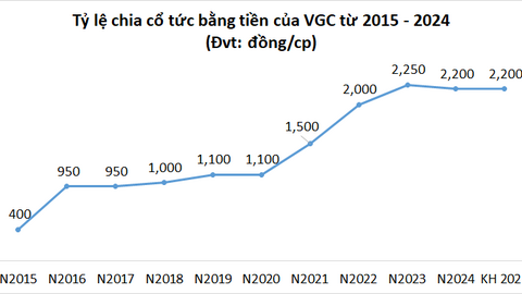 Viglacera sắp chi gần ngàn tỷ đồng cổ tức, mở bán hơn 900 căn NOXH tại Hà Nội