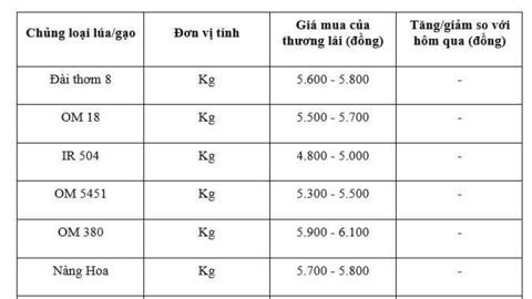 Giá lúa gạo hôm nay ngày 2/11 và tuần qua: Gạo xuất khẩu biến động