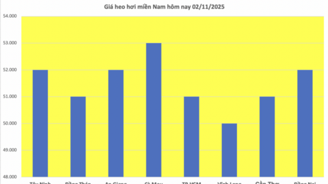Giá heo hơi hôm nay 2/11/2025: Lặng sóng phiên cuối tuần
