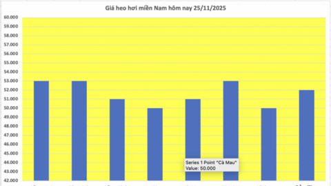Giá heo hơi hôm nay 25/11/2025: Đồng loạt tăng