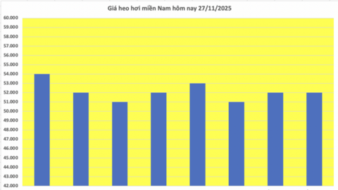 Giá heo hơi hôm nay 27/11/2025: Miền Trung tăng 1.000 đồng/kg