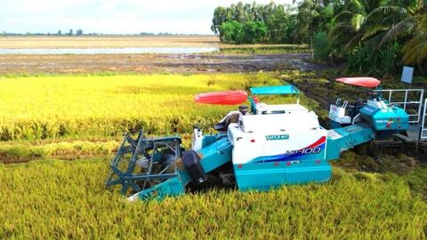 Nhân rộng mô hình lúa chất lượng cao, phát thải thấp