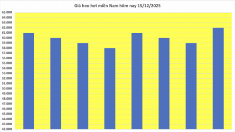 Giá heo hơi hôm nay 15/12/2015: Đi ngang