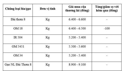 Giá lúa gạo hôm nay ngày 16/12: Gạo ít biến động, lúa tươi giảm nhẹ