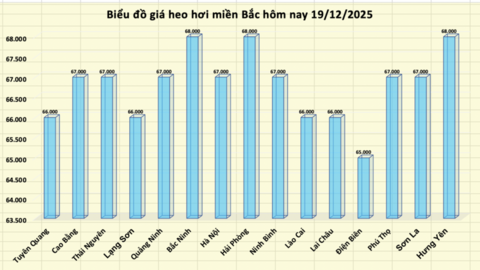 Giá heo hơi hôm nay 19/12/2025: Miền Bắc lập đỉnh mới 68.000 đồng/kg