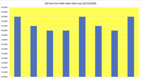 Giá heo hơi hôm nay 22/12/2025: Tiếp đà tăng, đạt đỉnh mới