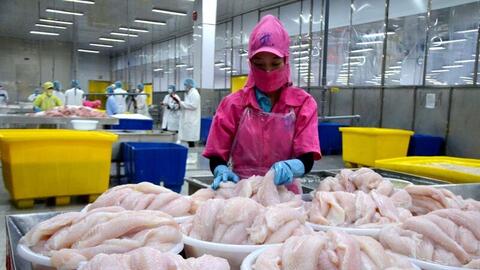 Chuẩn bị sớm để vượt chuẩn C/O, tận dụng tốt FTA mới