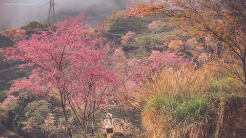 Khách ưu tiên chốt tour đi nhanh, nghỉ gọn dịp Tết Dương lịch 2026