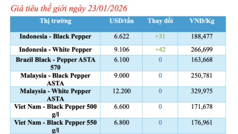 Giá tiêu hôm nay 23/1/2026: Bật tăng trở lại