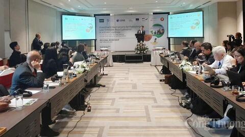 Gạo phát thải thấp mở dư địa mới cho thương hiệu gạo Việt