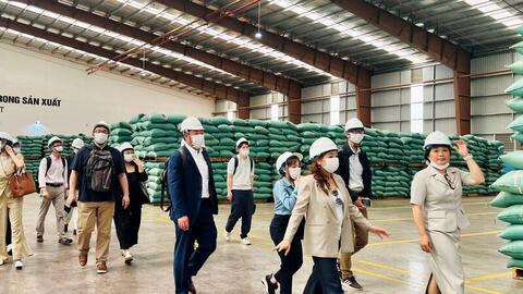 Để cà phê Việt không chỉ nhiều mà còn mạnh trên thị trường xuất khẩu